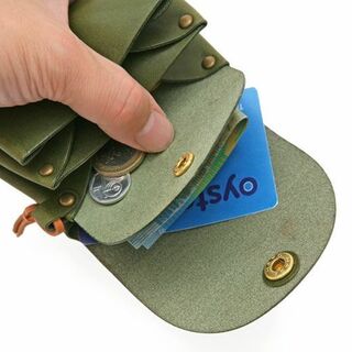 Card and Coin Case